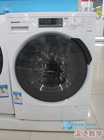 台北娜娜Taipei洗衣机：网友热议其高效清洁与节能设计，是否真如宣传所言值得购买？